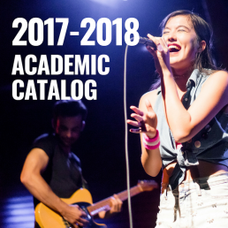 2017 - 2018 Academic Catalog Link Photo