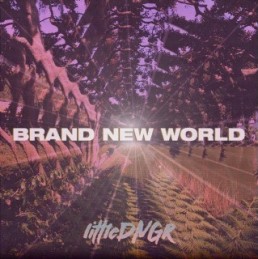littleDNGR - Brand New World