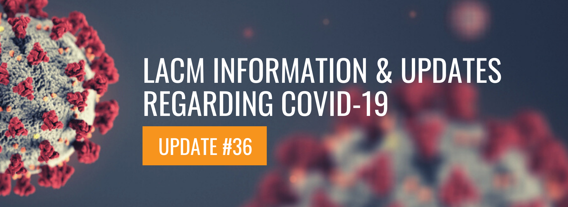 COVID Update #36