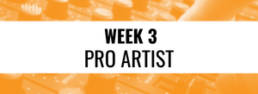 Week 3 Pro Artist Button
